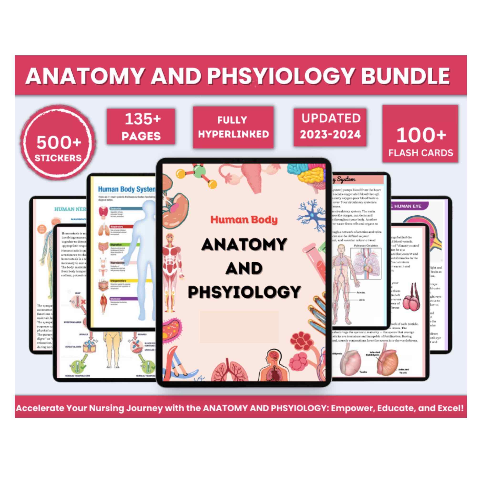 Anatomy and Physiology Bundle with Flashcards and Stickers